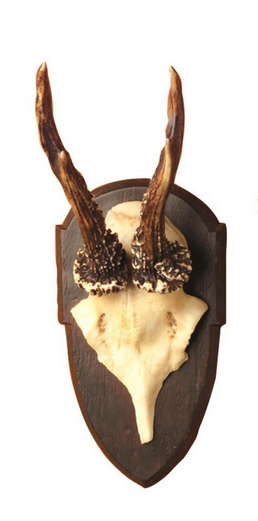 Antler Mount - Style B